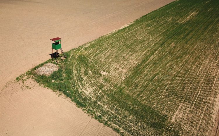 Uwaga koła łowieckie! Do 24 września należy uiścić obowiązkową składkę OC!